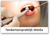 logo_wolda