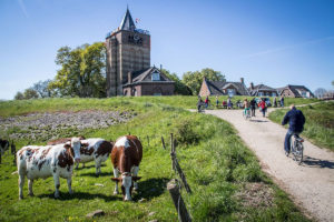 Dikke Toren Varik